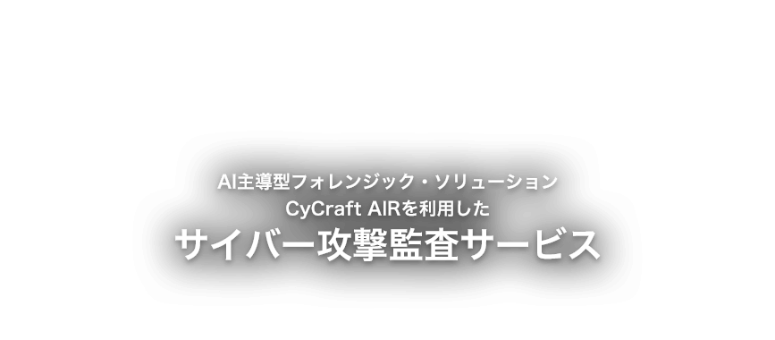 サイバー攻撃監査サービス