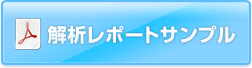 マルウェア解析レポートサンプル