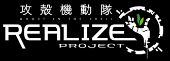 realize project